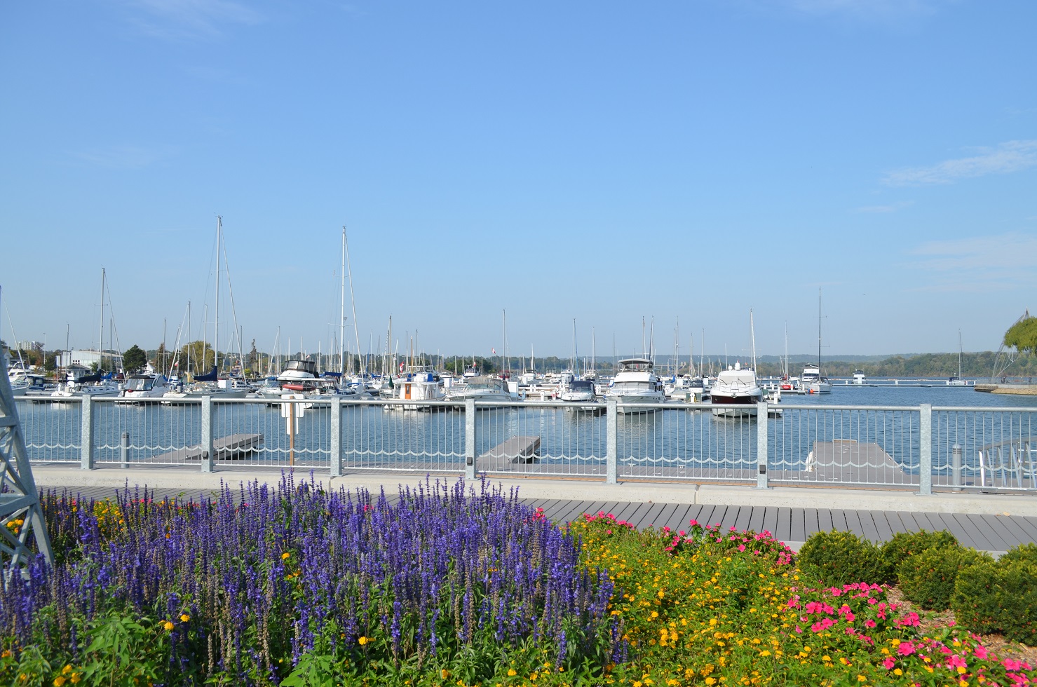 Harbour West Marina Hamilton